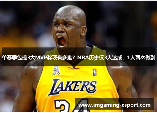 单赛季包揽3大MVP奖项有多难？NBA历史仅3人达成，1人两次做到